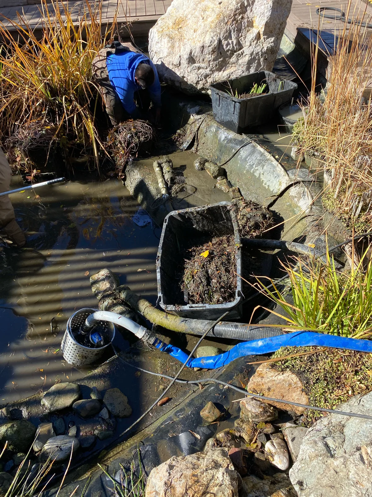 Professional pond maintenance in Utah